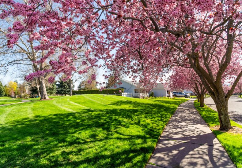 Spring in Charlotte is the perfect time for AC Maintenance.