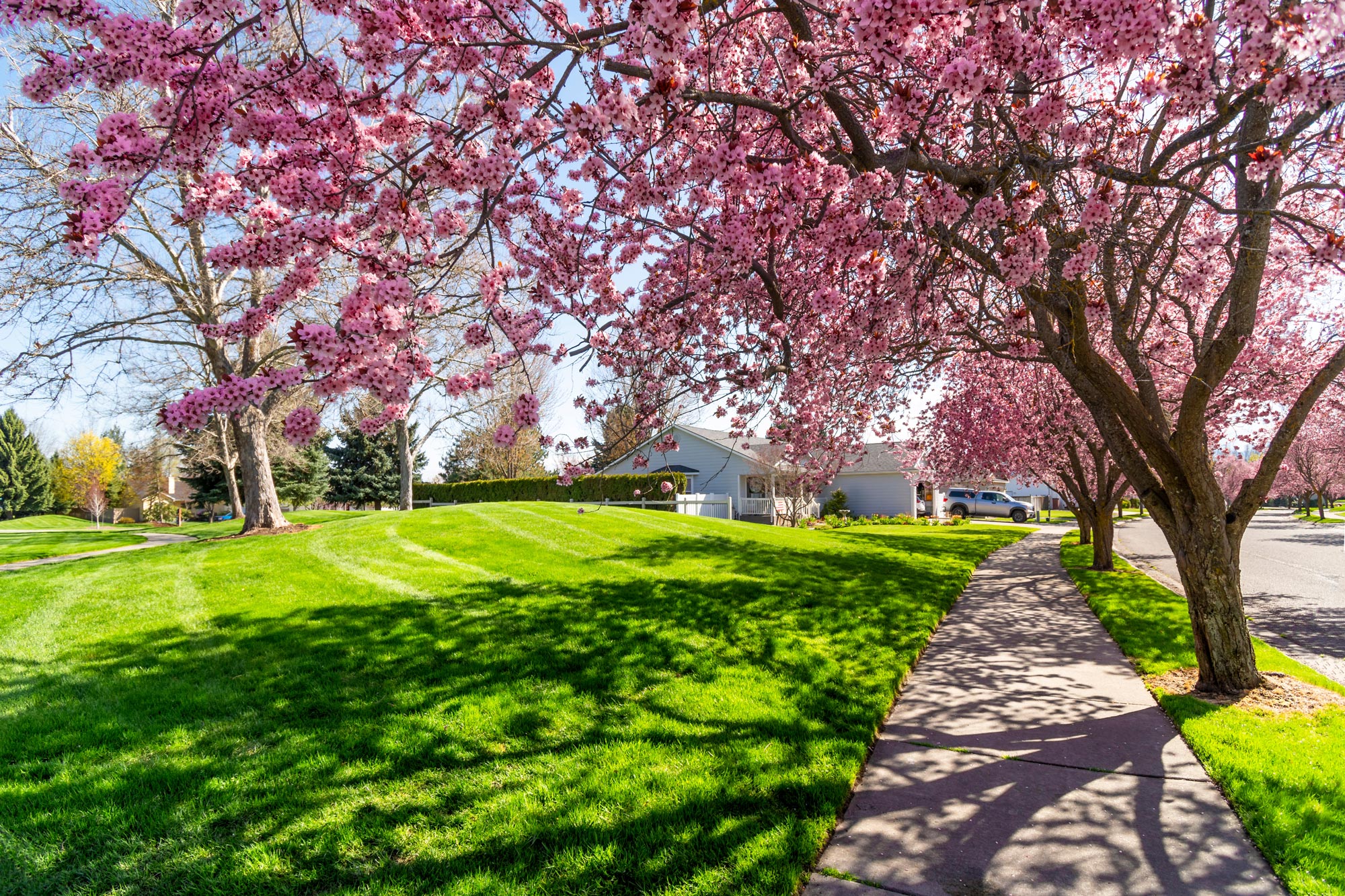 Spring in Charlotte is the perfect time for AC Maintenance.